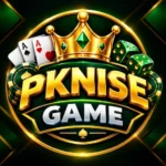 PKNISE Game
